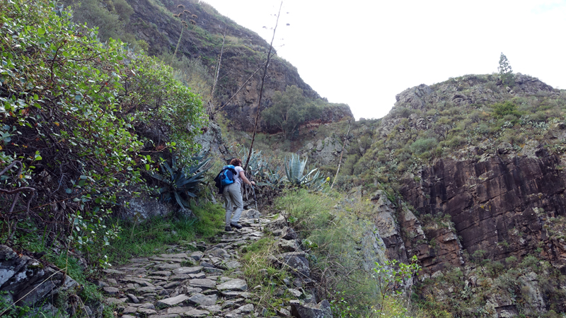 2016-11-08_110521 gran-canaria-2016.jpg - Wanderung im Barranco de Agaete